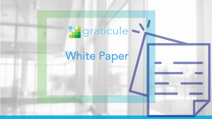 Graticule White Paper