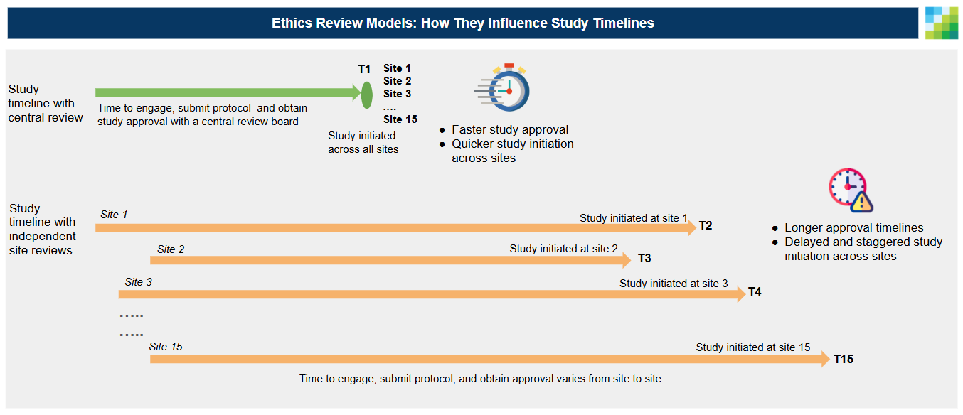 Screenshot 2025 03 13 114243 1